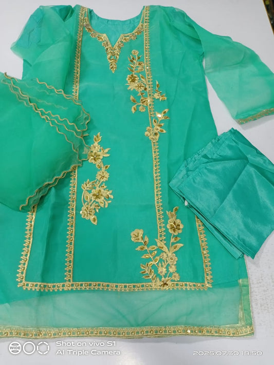 Fancy Organza 3pc